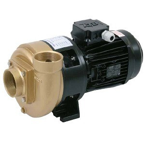 Насос Pahlen 1.5kw без префильтра 115201 (30 м3/ч, 230/400В)
